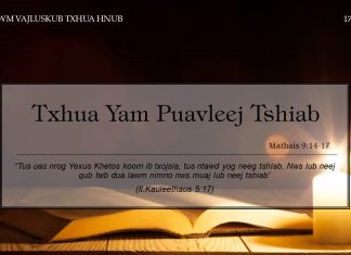 Txhua Yam Puavleej Tshiab – 17/1/2022