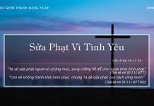 Sửa Phạt Vì Tình Yêu – 19/1/2022