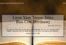 Lwm Yam Tsoos Tsho Rau Cov Povthawj – 28/1/2022