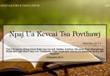 Npaj Ua Kevcai Tsa Povthawj – 29/1/2022