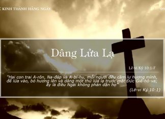 Dâng Lửa Lạ – 9/1/2022