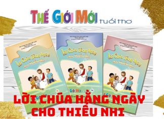 Nhìn lại 17 ngày đồng hành cùng TGMTT