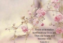 Thơ: Hãy Đếm Những Ngày Ta Sống