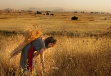 Diễn thơ sách Ru-tơ đoạn 4