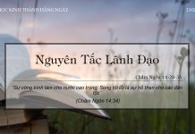 Nguyên Tắc Lãnh Đạo – 13/2/2022