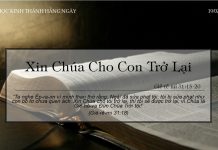 Xin Chúa Cho Con Trở Lại – 19/2/2022