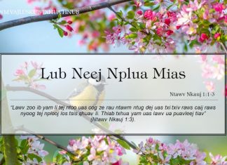 Lub Neej Nplua Mias – 2/2/2022