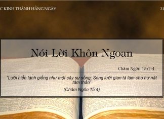 Nói Lời Khôn Ngoan – 20/2/2022