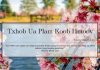 Txhob Ua Plam Koob Hmoov – 3/2/2022