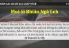 Msĕ Si Bhiăn Ngă Leh – 11/3/2022