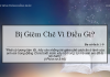 Bị Gièm Chê Vì Điều Gì? – 10/3/2022
