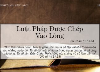 Luật Pháp Được Chép Vào Lòng – 22/3/2022