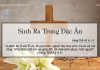 Sinh Ra Trong Đặc Ân – 6/3/2022