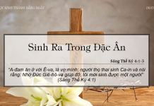 Sinh Ra Trong Đặc Ân – 6/3/2022