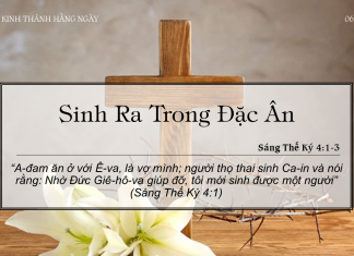 Sinh Ra Trong Đặc Ân – 6/3/2022
