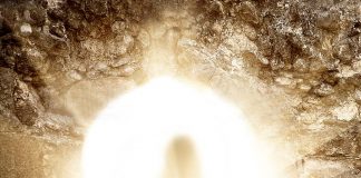 Thơ: Sự Trông Cậy Sống