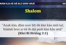 Shalom – 6/4/2022