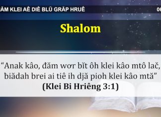 Shalom – 6/4/2022