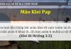 Mâo Klei Pap – 7/4/2022