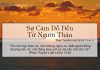 Sự Cám Dỗ Đến Từ Người Thân – 19/4/2022