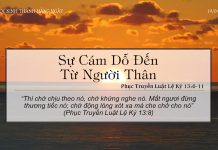Sự Cám Dỗ Đến Từ Người Thân – 19/4/2022