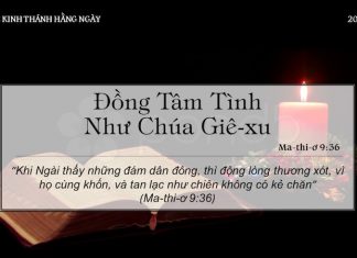 Đồng Tâm Tình Như Chúa Giê-xu – 20/4/2022
