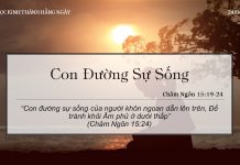Con Đường Sự Sống – 24/4/2022