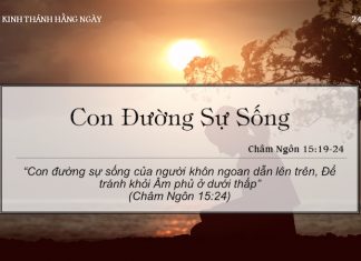 Con Đường Sự Sống – 24/4/2022