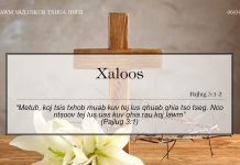 Xaloos – 6/4/2022