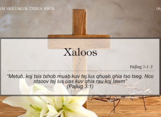 Xaloos – 6/4/2022