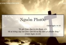 Nguồn Phước – 8/4/2022