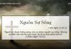 Nguồn Sự Sống – 9/4/2022