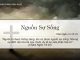 Nguồn Sự Sống – 9/4/2022