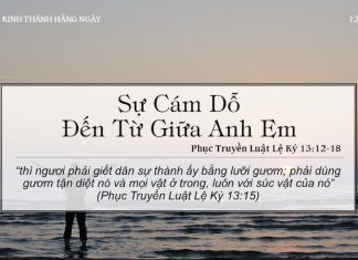 Sự Cám Dỗ Đến Từ Giữa Anh Em – 13/5/2022