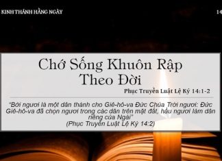 Chớ Sống Khuôn Rập Theo Đời – 14/5/2022
