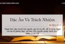 Đặc Ân Và Trách Nhiệm – 17/5/2022