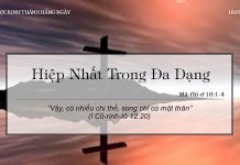 Hiệp Nhất Trong Đa Dạng – 18/5/2022