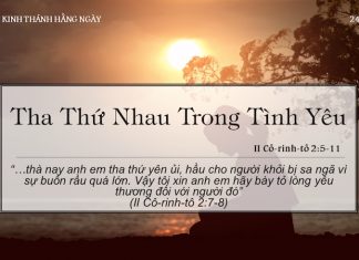 Tha Thứ Nhau Trong Tình Yêu -24/5/2022