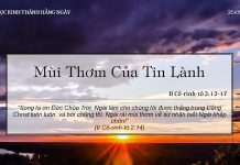 Mùi Thơm Của Tin Lành – 25/5/2022