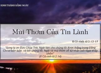 Mùi Thơm Của Tin Lành – 25/5/2022