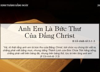 Anh Em Là Bức Thư Của Đấng Christ – 26/5/2022