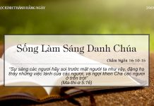 Sống Làm Sáng Danh Chúa – 29/5/2022