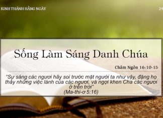 Sống Làm Sáng Danh Chúa – 29/5/2022