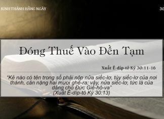 Đóng Thuế Vào Đền Tạm – 30/5/2022