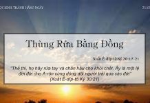 Thùng Rửa Bằng Đồng – 31/5/2022
