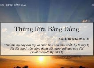 Thùng Rửa Bằng Đồng – 31/5/2022