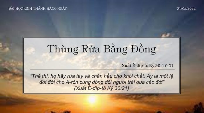 Thùng Rửa Bằng Đồng – 31/5/2022