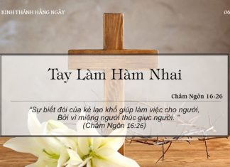 Tay Làm Hàm Nhai – 6/5/2022