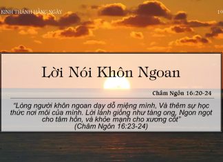 Lời Nói Khôn Ngoan – 19/6/2022