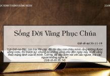 Sống Đời Vâng Phục Chúa – 22/6/2022
